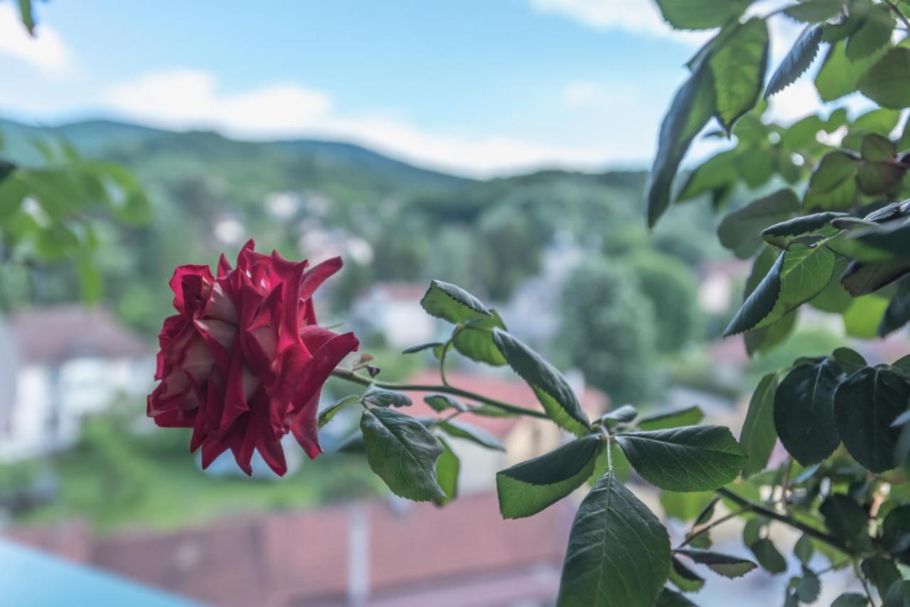 Onore Dell Amore Apartman Sa Djakuzijem Banja Koviljača Extérieur photo
